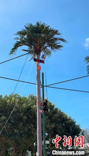 上海消防员在三亚攀椰竞速中化身运动员：享受